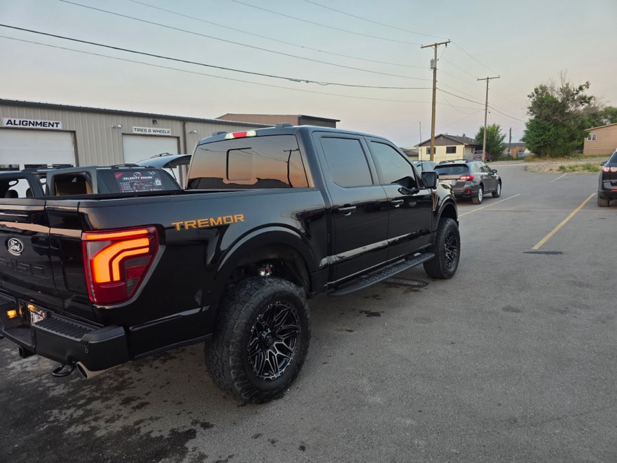 Side profile of a freshly detailed black F-150