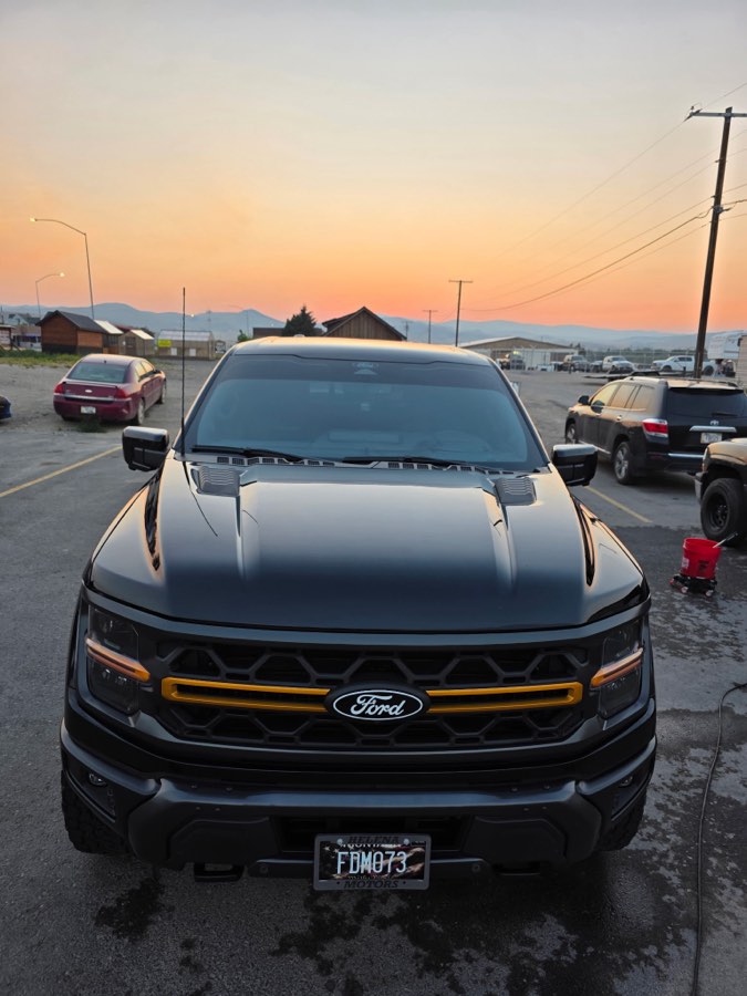Black Ford F-150 detailed at sunset