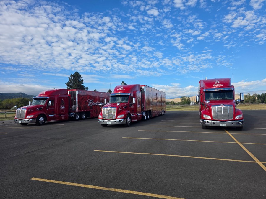 Three red Budweiser Clydesdales Peterbilt tractor-trailers on site